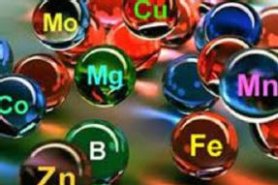 İş Yeri Havasında Ağır Metal Ölçmü ve Değerlendirilmesi